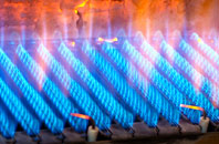 Rhosaman gas fired boilers